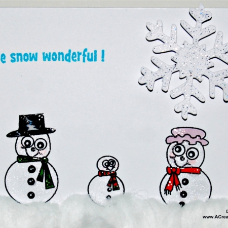 You're Snow Wonderful Stamp Set
